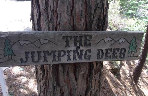 Yosemite West Apartment | Jumping Deer