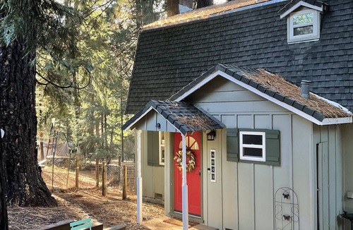 Placerville Cabin | Little Green Cabin by Apple Hill/Sly Park/Wineries/Tahoe/Hiking