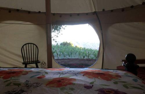 Los Gatos House | Lotus Yurt in Vineyard Overlooking Monterey Bay near Los Gatos, California