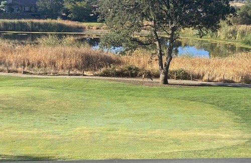 Angels Camp House | Luxury home on Greenhorn Creek Resort's 5th Hole