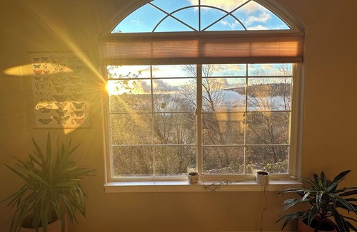 Cedar Ridge Villa | Magical Mountaintop Oasis, Private 5-acre Retreat with Stunning Views!