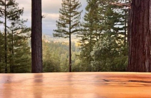 Felton Cabin | Magical Redwood Retreat in the Santa Cruz Mountains: Luxury Tree Fort Staynn