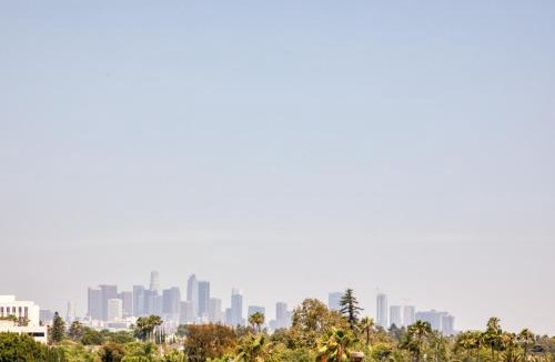 Mid-Wilshire Apartment | Mid-Wilshire Studio w Gym Pool nr S La Brea LAX-476