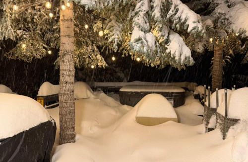 Big Bear Lake House | Moonridge Bear Mountain Cabin Hot Tub Pet Friendly Walk to Slopes Hike Golf Zoo