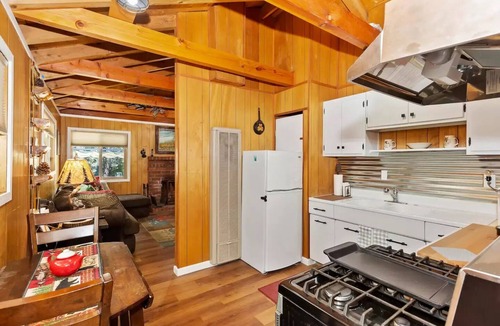 Big Bear Cabin | Moose's Cabin near Big Bear Village and Slopes!