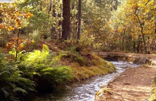 Phoenix Lake-Cedar Ridge House | Mountain House and National Forest Peacefulness