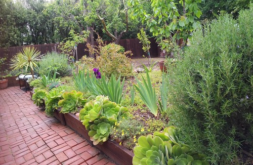 Carmel Woods Apartment | n "Casa Costagliola" Fabulous deal in Carmel!