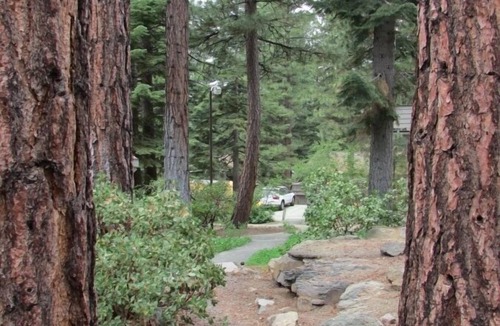 Incline Village Condo | North Tahoe Diamond, near diamond peak ski resort, Hyatt casino & lake