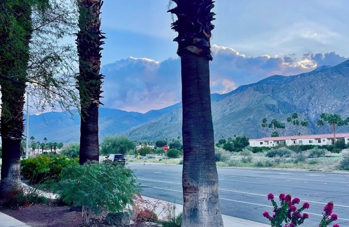 Baristo Condo | Palm Springs Desert Dream, updated 1 BR condo, comfortable, retro-feel appeal