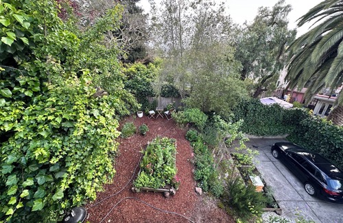 Grand Lake Apartment | Peaceful 1-Bedroom Apt in Charming House Oakland. Great, Cool, Safe Chill Area