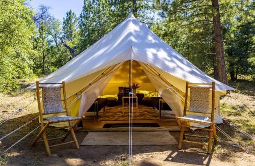 Mount Laguna Other | Pioneering Pet-Friendly Glamping: Mt. Laguna's Original Nature Lovers' Retreat
