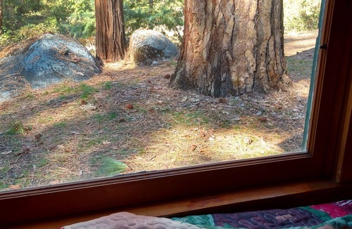 Pinehurst Cabin | Ponderosa Cabin ~ rustic comfort + WiFi by Sequoia & Kings Canyon National Parks
