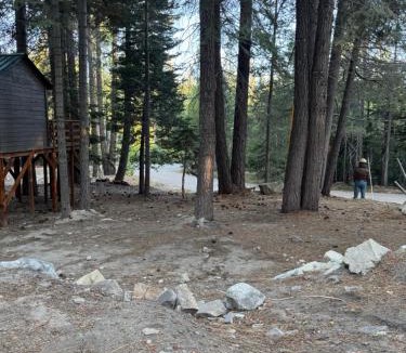 Ponderosa Apartment | Ponderosa Pines Cabin with Treehouse and Zipline