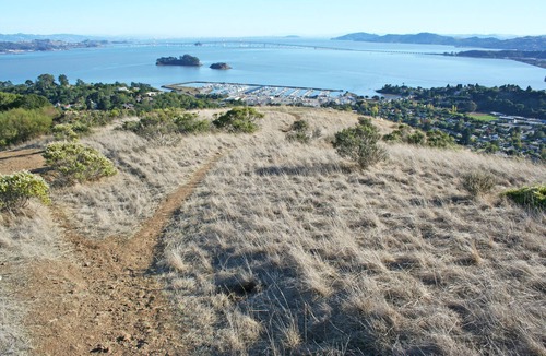 Bayside Acres Apartment | Pristine Studio—Walk to SF Bay & State Park! With A/C!