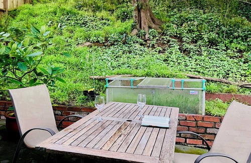 Mount Davidson Apartment | Private Ground-Level Studio near Public Transit, Shopping, & Nature