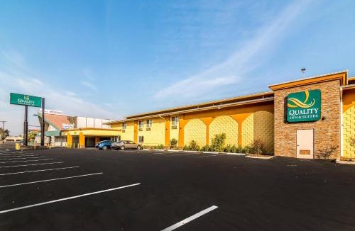 Oleander - Sunset Hotel | Quality Inn & Suites near Downtown Bakersfield