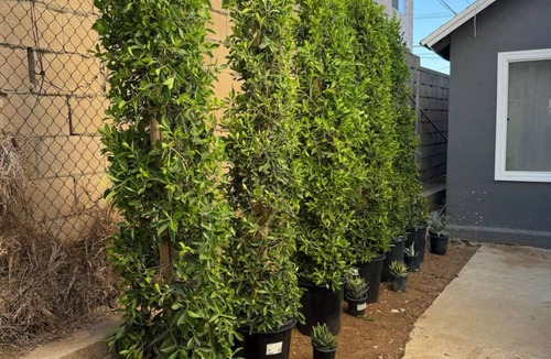 Boyle Heights House | Remodeled 2-Bedroom House 2 Miles From DTLA With Free Parking