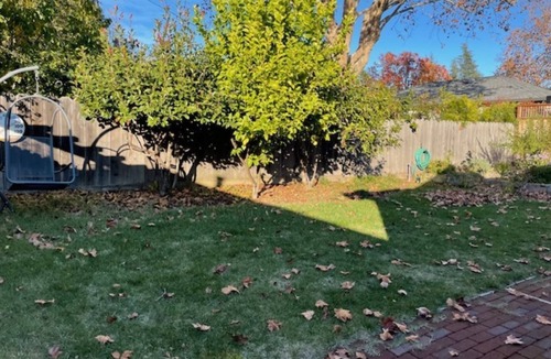 Napa House | Remodeled Three Bedroom Home Close to Downtown Napa