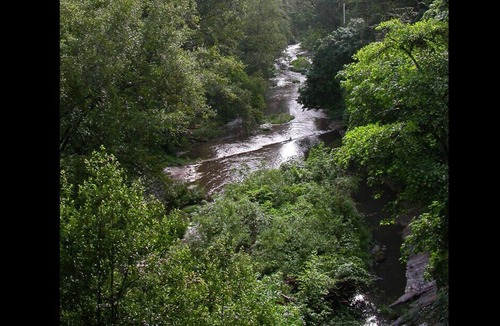 Ben Lomond Apartment | RiverFront TREEHOUSE Inspiring Rental Ancient REDWOODS AMAZING VIEWS!!