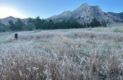 Pearsonville House | Secluded 20-Acre Ranch Getaway with Breathtaking Sierra Foothill Views