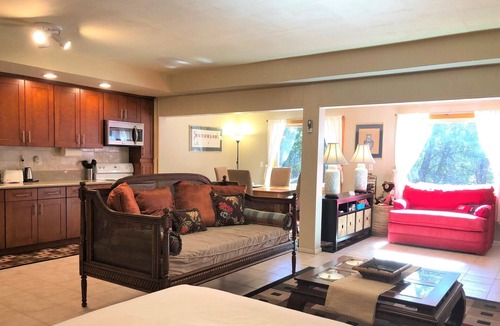 Idyllwild Apartment | Secluded Spacious Lilli Rock Studio, Pet Friendly!