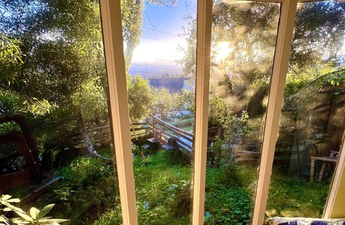 Berkeley Hills Apartment | Serenity Redwood Studio Berkeley Hills SF Bay Views