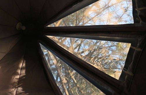 Dunlap Apartment | Sky Pod #2/Tree Tent 2