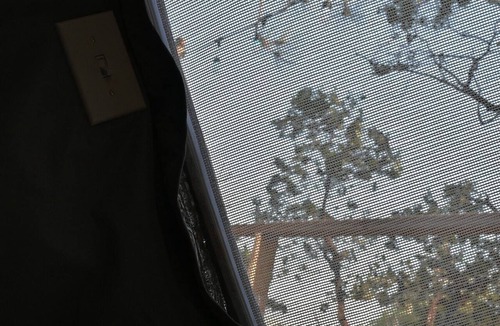 Dunlap Apartment | Sky Pod #2/Tree Tent 2