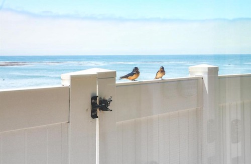 San Simeon Apartment | Star of the Sea Oceanfront Escape w Views