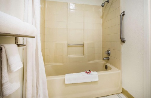 Lindsay Hotel | Super 8 by Wyndham Lindsay Olive Tree