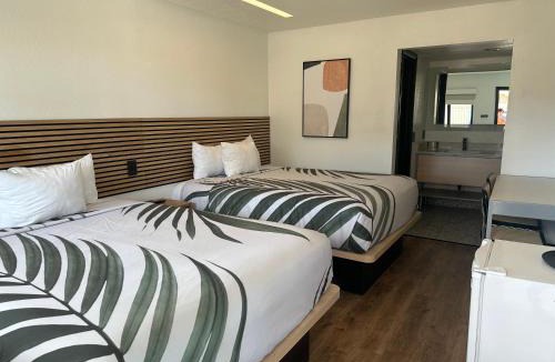 Lake Havasu City Hotel | Sway Hotel Lake Havasu