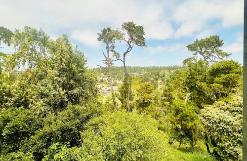 Park Hill House | The Coastal Hideaway - Charming Upgraded Home in Scenic Cambria