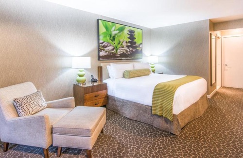 Barron Park Hotel | The Creekside Inn
