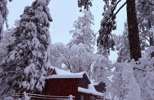 Twain Harte Cabin | The Fork House: Luxury Creekside Cabin Near Pinecrest Sleeps 12