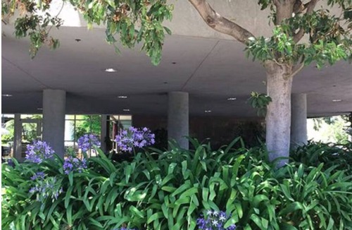 Cupertino Apartment | The luxurious Cupertino Hotel. A Short 8 mile drive to Levi's Stadium
