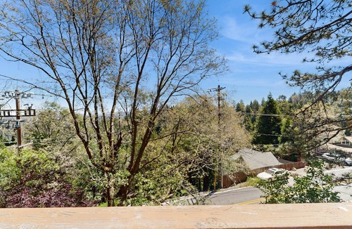 Cedarpines Park House | The Polished Pine | Treetop Views | Large Deck | Sleeps 6