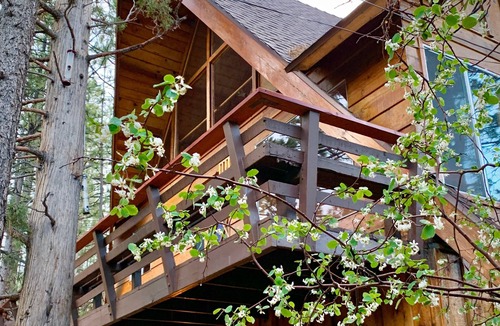 Big Bear City Cabin | The Wilkie Cabin #339