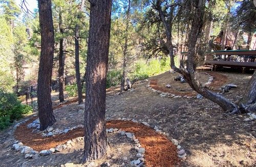 Big Bear City Cabin | The Wilkie Cabin #339