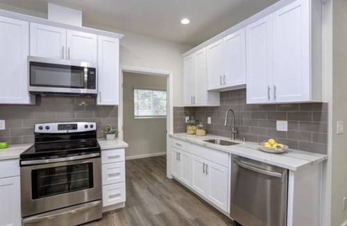Horace Mann Apartment | Tiger Shark Room | SJ Shark House