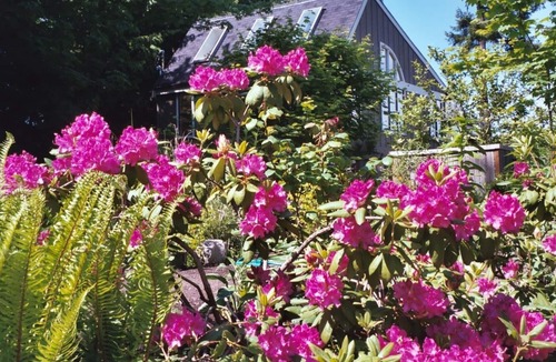 Rollingbay House | Tranquility and Peaceful Guest House Offers Guests A Quiet & Beautiful Getaway!