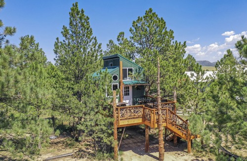 Larkspur House | Tree Eagles Nest