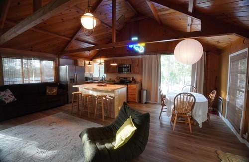 Twain Harte Cabin | Twain Harte-Lake Pass-Yosemite-Dodge Ridge Ski Lodge-Fire Pit-Central Heat-AC
