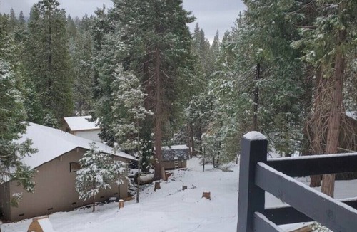 Mi-Wuk Village Cabin | Ultimate family retreat in the Woods!