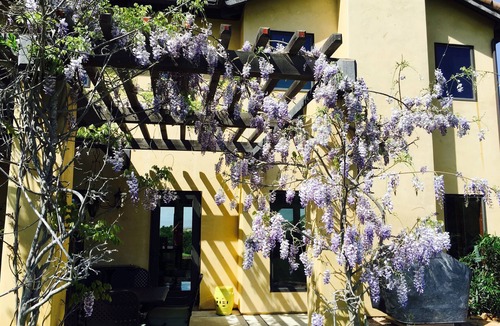 Arroyo Grande Villa | "Viento De Robles"overlooking Laetitia Winery . Views for days .Gorgeous