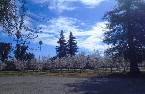 Modesto House | Working Travelers Welcome! Close to 99 & 3 Hospitals!