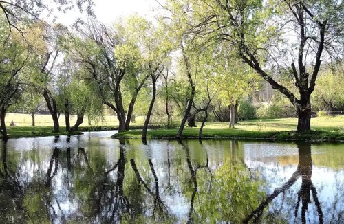 Groveland House | Yosemite Deer Valley Ranch #C