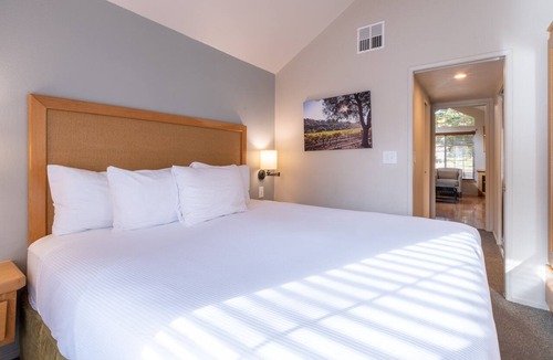 Napa Hotel | Your Napa Escape! 2 Relaxing Units, Free Parking, Outdoor Pool!