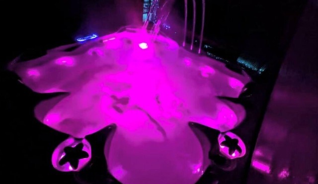#1-NewPrivate HotTub-My Spare Cottages-Near Tahoe!