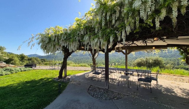 13-Acres Fairytale Sunset Villa with Hot Tub, Firepit, BBQ, EV Charger