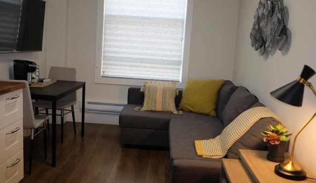 312-1 Bedroom Apt in San Jose. Pedestrian's Dream!